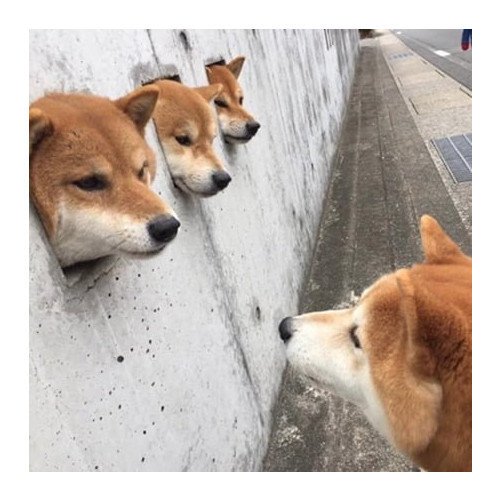 17230126312871.jpeg