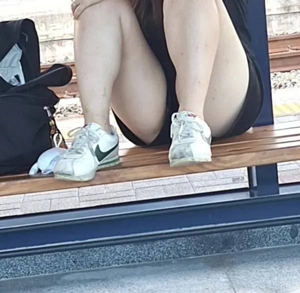 17268154354884.webp