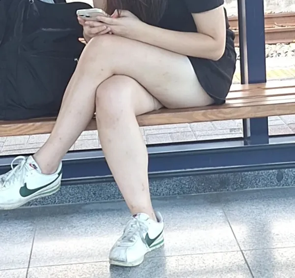 17268154394043.webp