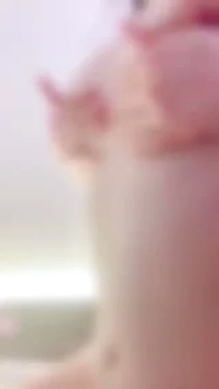 17278331652998.webp