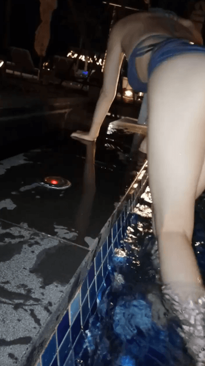 17308963861874.gif