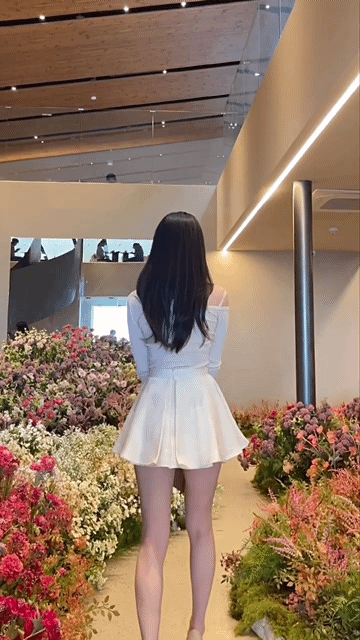 17322787735409.gif
