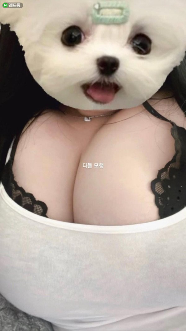 17337476220821.jpeg