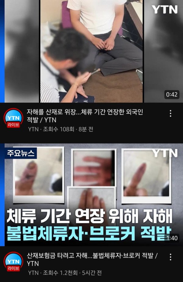 17376354595398.jpeg