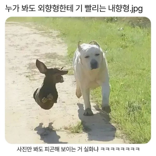 17378514385457.jpeg