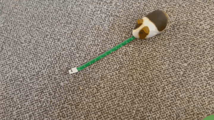 17399251529307.gif