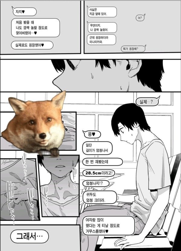 17394933073796.jpeg