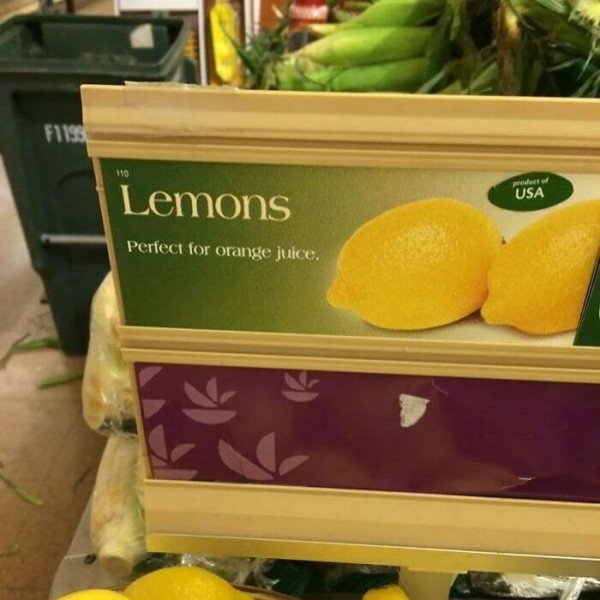 174018426743.jpeg