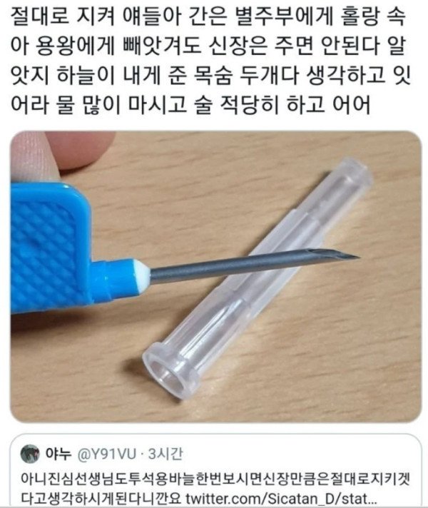 17403571122804.jpeg