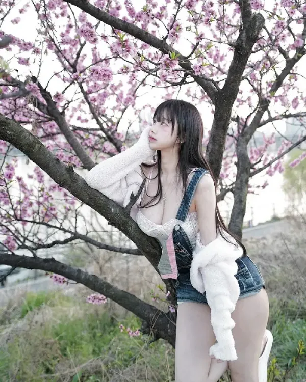 17404004212437.webp