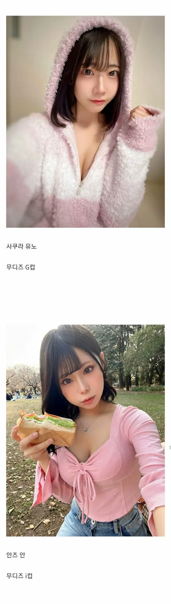 17491698819569.webp